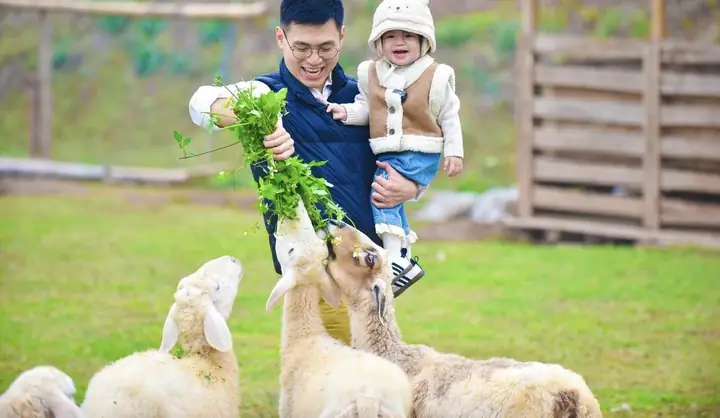 Hà Nội Có Chỗ Nào Chơi Cho Trẻ Em