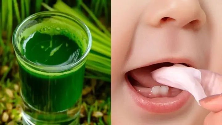 Hạ Sốt Cho Bé Bằng Lá Hẹ
