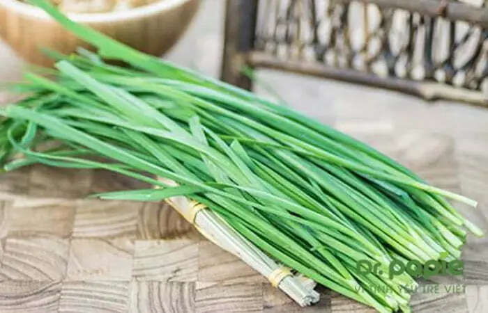 Hạ Sốt Cho Bé Bằng Lá Hẹ