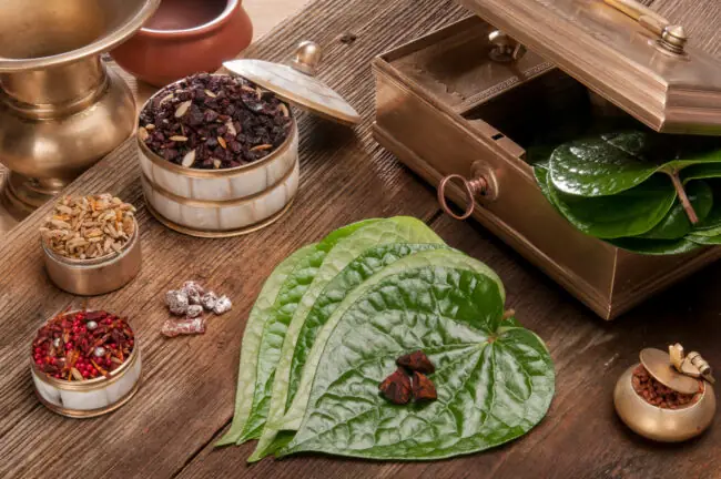 Hạ Sốt Cho Trẻ Sơ Sinh Bằng Lá Trầu Không