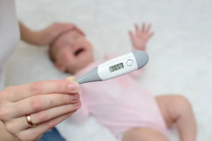 Hạ Sốt Cho Trẻ Sơ Sinh Bằng Lá Trầu Không