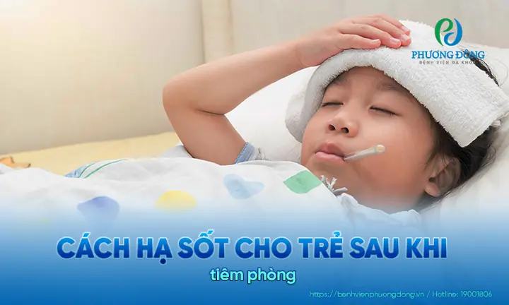 Hạ Sốt Cho Trẻ Sơ Sinh Khi Tiêm Phòng