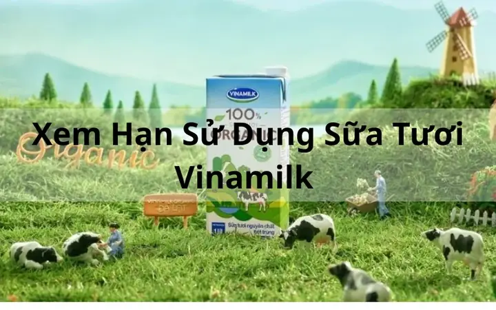 Hạn Sử Dụng Của Sữa Vinamilk Hạn Sử Dụng Của Sữa Vinamilk