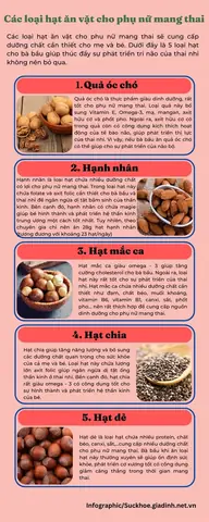 Hạt Chia Có Tốt Cho Phụ Nữ Mang Thai
