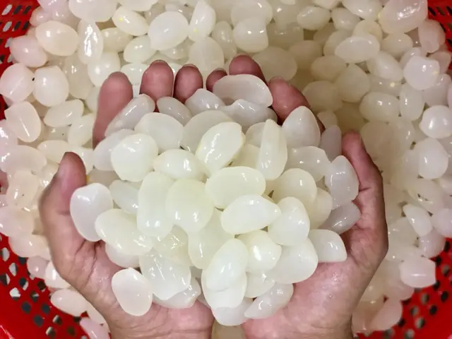 Hạt Đác Có Tốt Cho Bà Bầu Không Hạt Đác Có Tốt Cho Bà Bầu Không