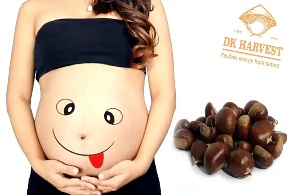 Hạt Dẻ Có Tốt Cho Bà Bầu