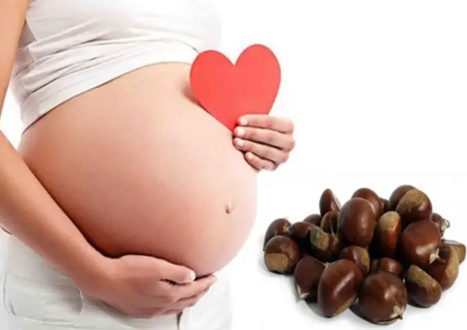 Hạt Dẻ Có Tốt Cho Bà Bầu