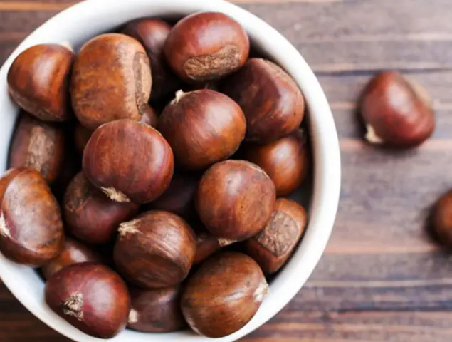 Hạt Dẻ Có Tốt Cho Bà Bầu