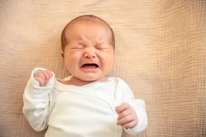 Hạt Hút Ẩm Trong Bỉm Bobby