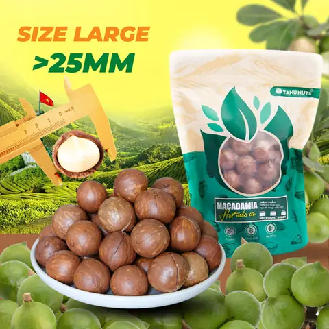 Hạt Macca Tốt Cho Bà Bầu