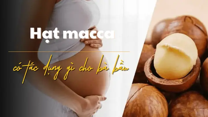 Hạt Macca Tốt Cho Bà Bầu