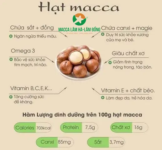 Hạt Macca Tốt Cho Bà Bầu