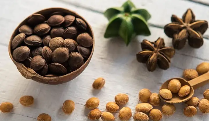 Hạt Sachi Có Tốt Cho Bà Bầu