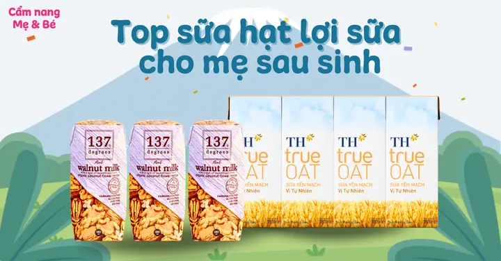 Hạt Sen Có Lợi Sữa Không