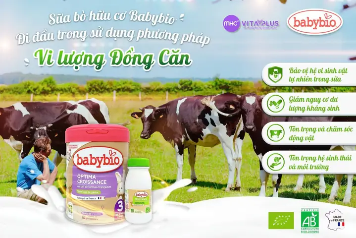 Hệ Vi Sinh Vật Trong Sữa Chua