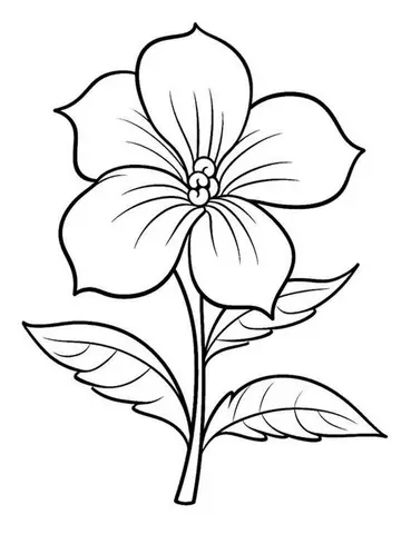 Hình Ảnh Bông Hoa Chưa Tô Màu