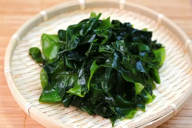 Hình Ảnh Các Loại Rong Biển