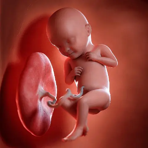 Hình Ảnh Mẹ Bầu Và Em Bé
