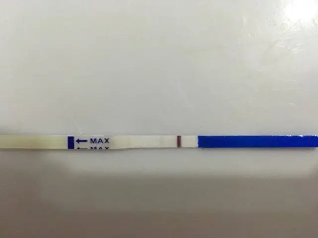 Hình Que Thử Thai Có Bầu