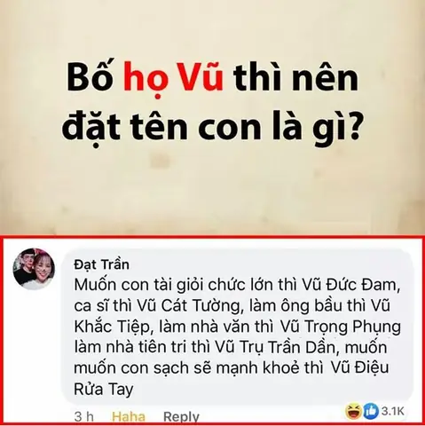 Họ Vũ Nên Đặt Tên Con Gái Là Gì