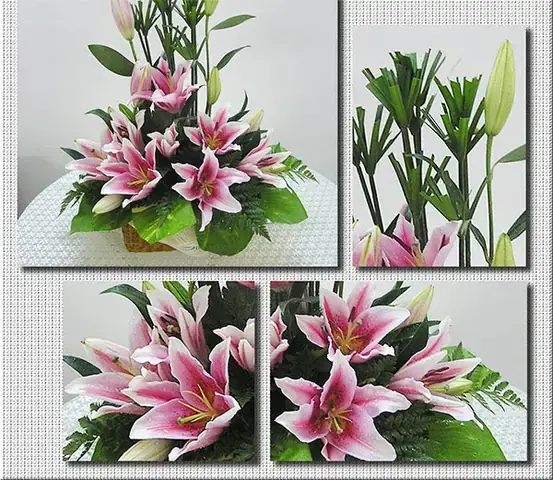Hoa Để Bàn Đẹp Ngày Tết