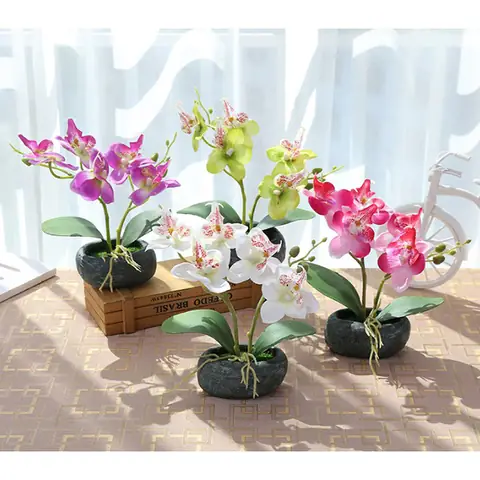 Hoa Để Bàn Uống Nước Ngày Tết