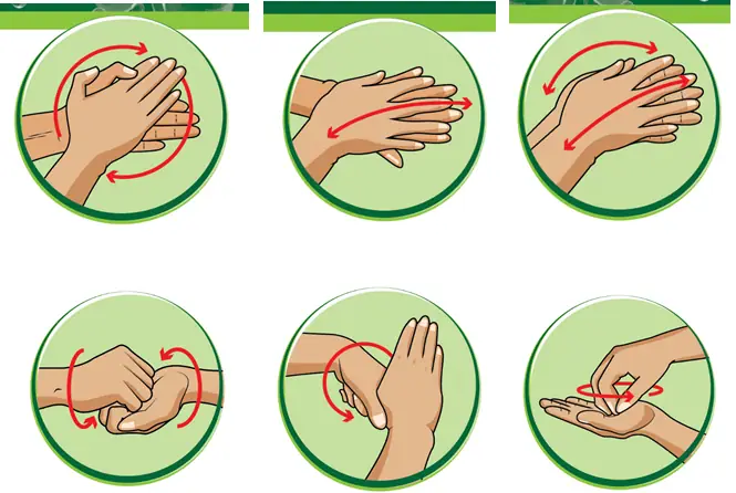 Hướng Dẫn Bé Rửa Tay Đúng Cách