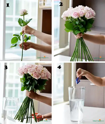 Hướng Dẫn Cách Cắm Hoa Đơn Giản Đẹp