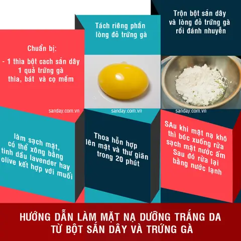 Hướng Dẫn Cách Đắp Mặt Nạ Trứng Gà Hướng Dẫn Cách Đắp Mặt Nạ Trứng Gà