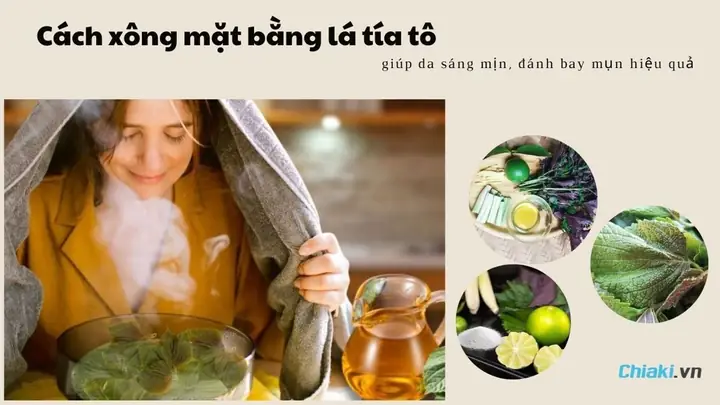 Hướng Dẫn Cách Xông Mặt Bằng Lá Tía Tô