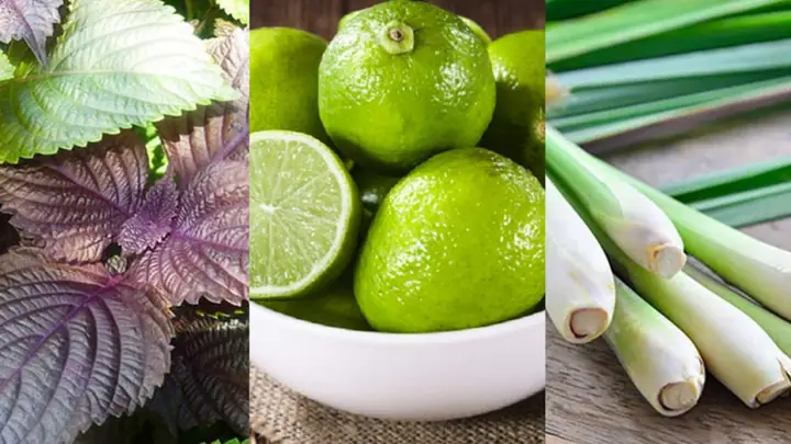 Hướng Dẫn Cách Xông Mặt Bằng Lá Tía Tô