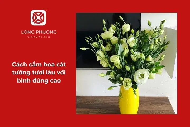 Hướng Dẫn Cắm Hoa Cát Tường