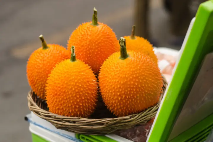 Hướng Dẫn Làm Tinh Dầu Gấc