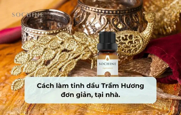 Hướng Dẫn Làm Tinh Dầu Gấc Hướng Dẫn Làm Tinh Dầu Gấc