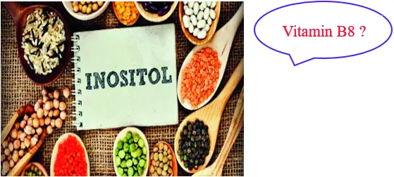 Inositol Có Trong Thực Phẩm Nào Inositol Có Trong Thực Phẩm Nào