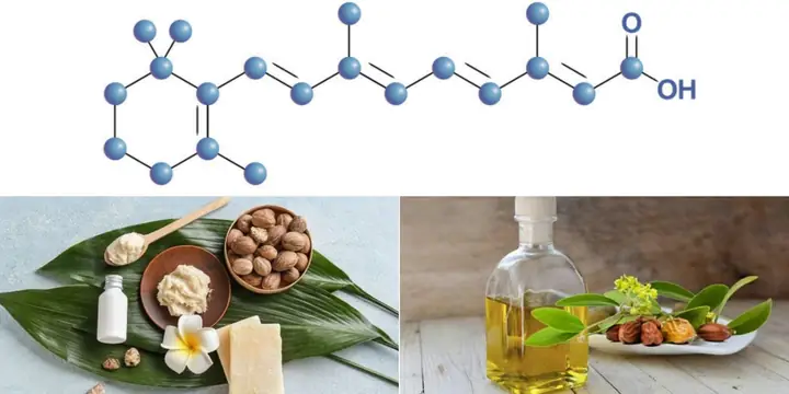 Kem Dưỡng Ẩm Body Cho Mùa Đông