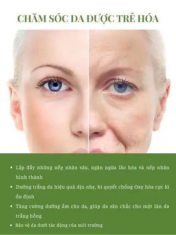 Kem Dưỡng Chống Lão Hoá Cho Da Dầu Mụn Kem Dưỡng Chống Lão Hoá Cho Da Dầu Mụn