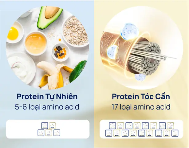 Kem Ủ Tóc Không Cần Xả