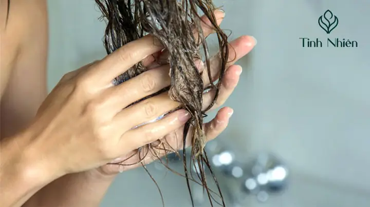 Kem Xả Khác Gì Dầu Xả