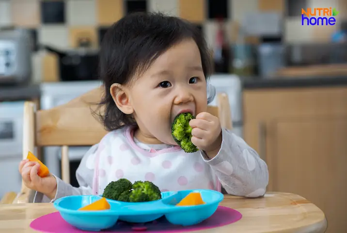Khẩu Phần Ăn Cho Bé 9 Tháng Tuổi