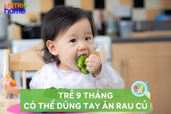 Khẩu Phần Ăn Cho Bé 9 Tháng Tuổi