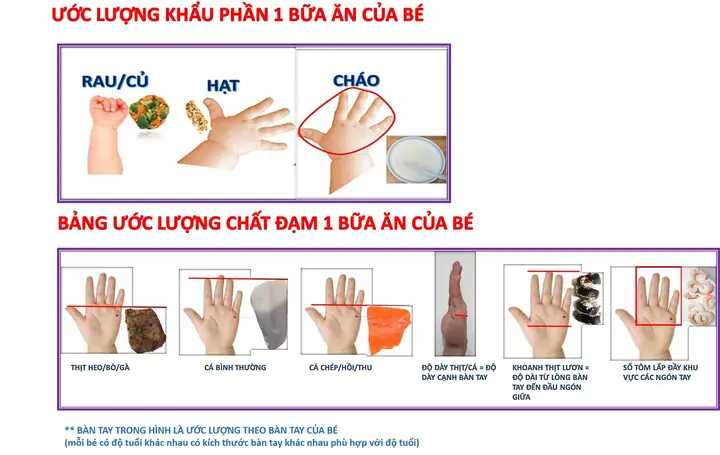 Khay Ăn Cho Bé Hàng Chất Lượng