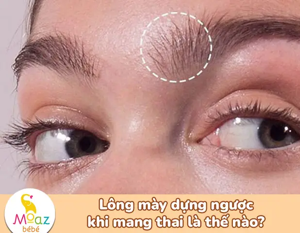 Khi Có Thai Lông Mày Dựng Ngược Khi Có Thai Lông Mày Dựng Ngược