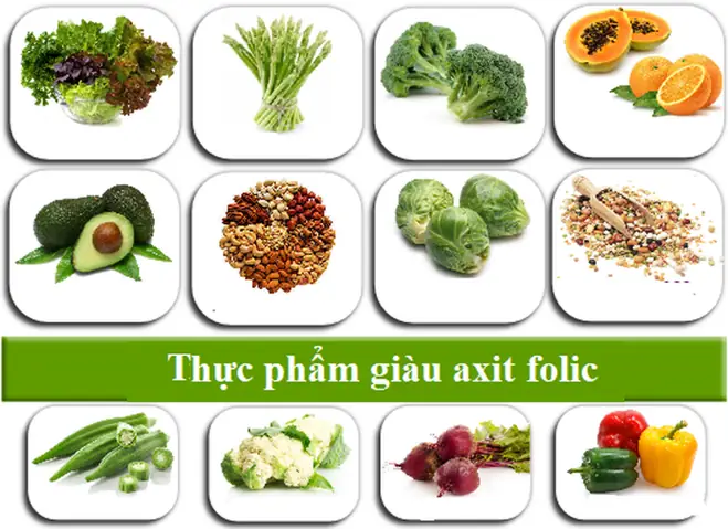 Khi Mang Thai Tháng Đầu Nên Ăn Gì