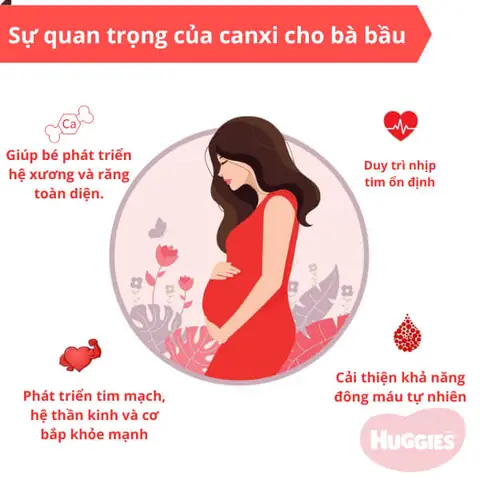 Khi Nào Cần Bổ Sung Canxi Cho Bà Bầu
