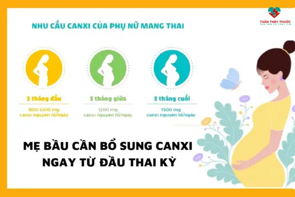 Khi Nào Cần Bổ Sung Canxi Cho Bà Bầu