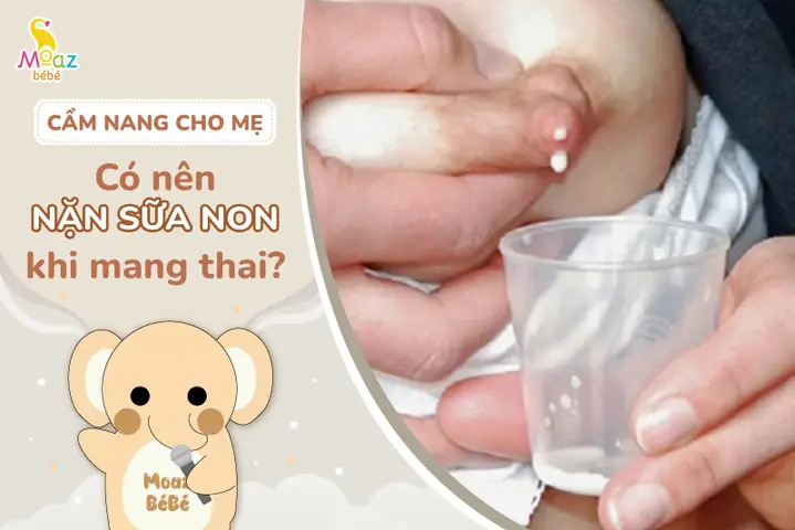 Khi Nào Mẹ Bầu Có Sữa