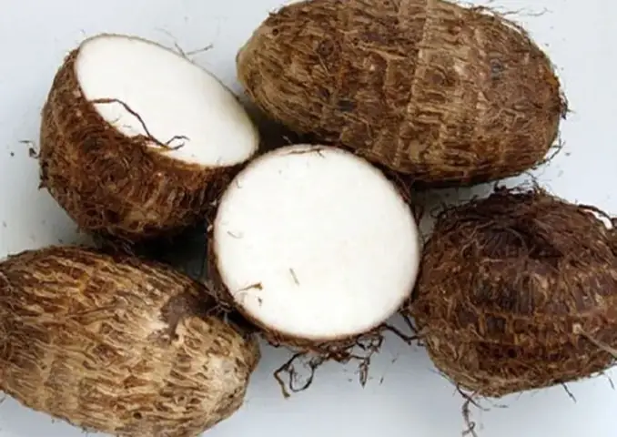 Khoai Sọ Cho Bé Ăn Dặm