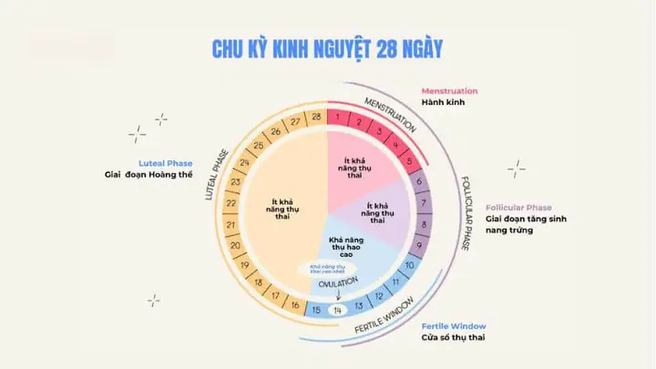 Không Có Kinh Nguyệt Có Thai Không