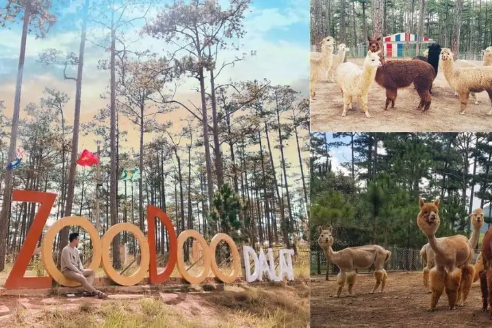 Khu Vui Chơi La Đà Lạt